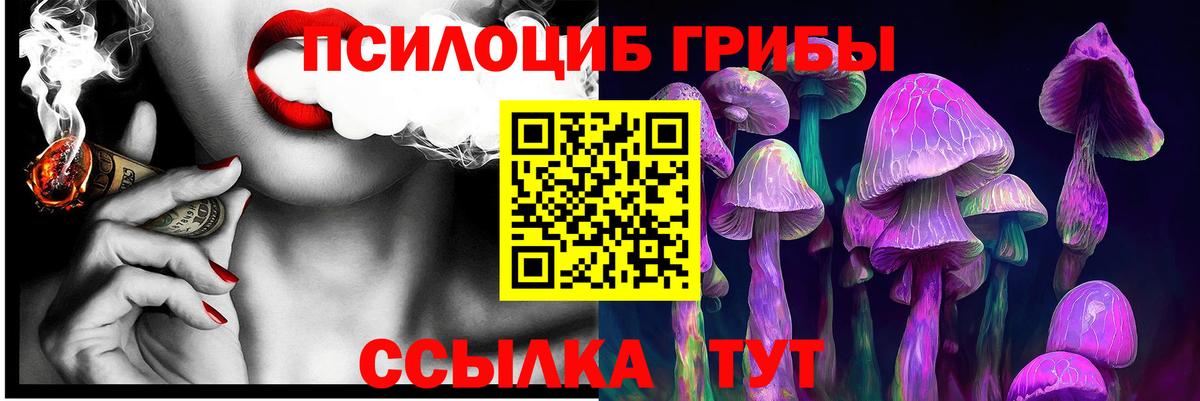 Псилоцибиновые грибы прущие грибы Корсаков